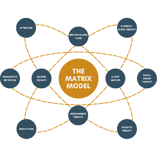 The Matrix Model