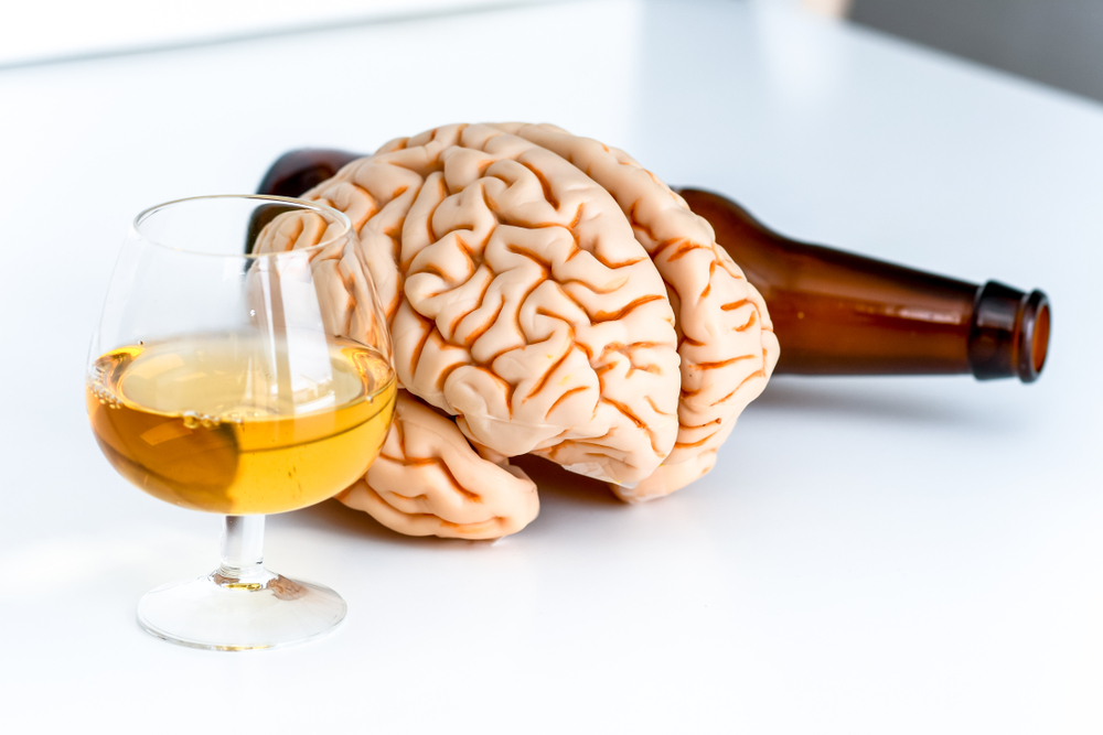 the brain and alcoholism